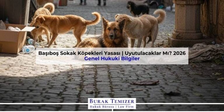 Başıboş Sokak Köpekleri Yasası | Uyutulacaklar Mı? 2026